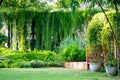 Close up to home in the garden with bamboo lichen and vine tree around it in the afternoon Royalty Free Stock Photo