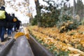 close up to a small orange leaf with selective focus technique and autumn scene park