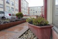 Close up to a succulent garden into a red flower pot with silver car and a residential unit at background in rainy day Royalty Free Stock Photo