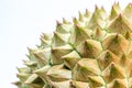 Close up to Thorns of durian Royalty Free Stock Photo