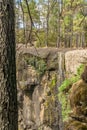 close up to a waterfall with trees in Mexico