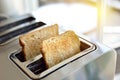 Toast sliced whole wheat bread in toaster Royalty Free Stock Photo