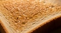 Close-up of toasted bread texture detail Royalty Free Stock Photo