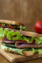 Close up toasted homemade sandwich with fresh vegetables Royalty Free Stock Photo