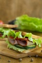 Close up toasted homemade sandwich with fresh vegetables Royalty Free Stock Photo