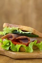 Close up toasted homemade sandwich with fresh vegetables Royalty Free Stock Photo