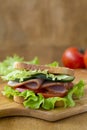 Close up toasted homemade sandwich with fresh vegetables Royalty Free Stock Photo