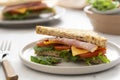 Close up toasted sandwich with ham, vegetables and cheese Royalty Free Stock Photo