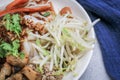 Close up tofu,bean sprout,sausage,crab stick and coriander in Chinese Steamed Rice Noodles with sweet soy sauce in white plate. Royalty Free Stock Photo