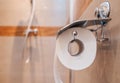 Close Up Of Toilet Paper Holder In Small Restroom Area Royalty Free Stock Photo