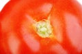 Close up of tomato