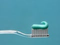 Close up of a toothbrush with paste