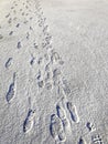 Close up top above view of people footprints on white icy snow concrete pavement surface background. Winter walking on Royalty Free Stock Photo