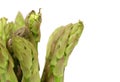 Close-up of top asparaguses. Royalty Free Stock Photo
