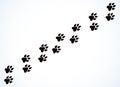 Cats foot print. Vector drawing Royalty Free Stock Photo