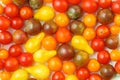 Close up, top down view of fresh, organic mixture of red, orange, yellow and black cherry and pear tomatoes