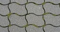 Interlocking Paving Stones with Grass Growing Through the Gaps pavement texture Royalty Free Stock Photo