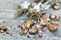 Close up, top shot of dry skins garlic bulbs, cloves, white, orange, purple colors, rustic wooden table background, selective