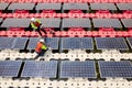 Close up and top side view of two technician workers check and maintenance solar cell panel over the water reservoir as solar farm Royalty Free Stock Photo