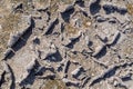 Close up top view of abstract dry cracked mud texture on ground surface pattern background Royalty Free Stock Photo