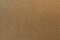 Close up brown synthetic leather textures. Royalty Free Stock Photo