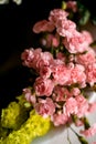 Close-up top view of bunch of fresh pink carnation flowers. Royalty Free Stock Photo