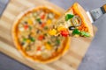 Close up and top view of Chicken mushroom jalapeno pizza Royalty Free Stock Photo