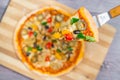 Close up and top view of Chicken mushroom jalapeno pizza Royalty Free Stock Photo