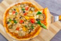 Close up and top view of Chicken mushroom jalapeno pizza Royalty Free Stock Photo