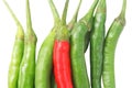 Top view chili pepper isolated on white background