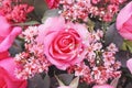 Top view colorful bouquet of pink rose flowers blooming with water drops texture for background Royalty Free Stock Photo