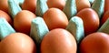 Close up top view of fresh brown eggs laid in a egg box. Diet, protein and health concept