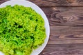 Close up Top view Fresh green lettuce on round plate. Healthy pl Royalty Free Stock Photo