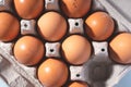 Close up top view on fresh organic chicken eggs in cardboard box Royalty Free Stock Photo