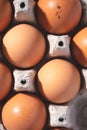 Close up top view on fresh organic chicken eggs in cardboard box Royalty Free Stock Photo