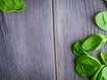 close up top view fresh spinach on table, healthy food concept