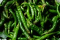 Close up top view of freshly harvested green chillies  displayed in market for sale. Royalty Free Stock Photo