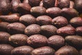 Close up, top view. Hass avocados neatly laid out in rows on the counter at a Spanish bazaar Royalty Free Stock Photo