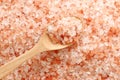 Close up top view of himalayan pink salt in wooden spoon Royalty Free Stock Photo