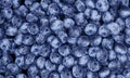 Close up and top view Lots of blueberries. Dark blueberry, fresh color, white pattern Use it as wallpaper or background. 3D