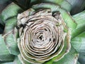 Close up top view Pineapple of green leaf