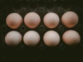 Top view of raw chicken eggs in egg box Royalty Free Stock Photo