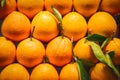 Close up, top view. Ripe oranges are neatly laid out in rows on the counter at a Spanish bazaar