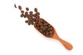 Close up and top view roasted coffee beans on wooden scoop isolated and white background