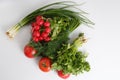 Close up top view shot of a vegetable composition consisting of a bunch of radish, dill, parsley, green onions and ripe red