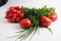 Close up top view shot of a vegetable composition consisting of a bunch of radish, dill, parsley, green onions and ripe red