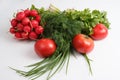 Close up top view shot of a vegetable composition consisting of a bunch of radish, dill, parsley, green onions and ripe red