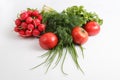 Close up top view shot of a vegetable composition consisting of a bunch of radish, dill, parsley, green onions and ripe red