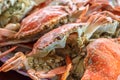 Close up top view steamed crabs in the restaurant for lunch and dinner