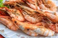 Close up top view steamed shrimp/prawn in the white plate ready to eat